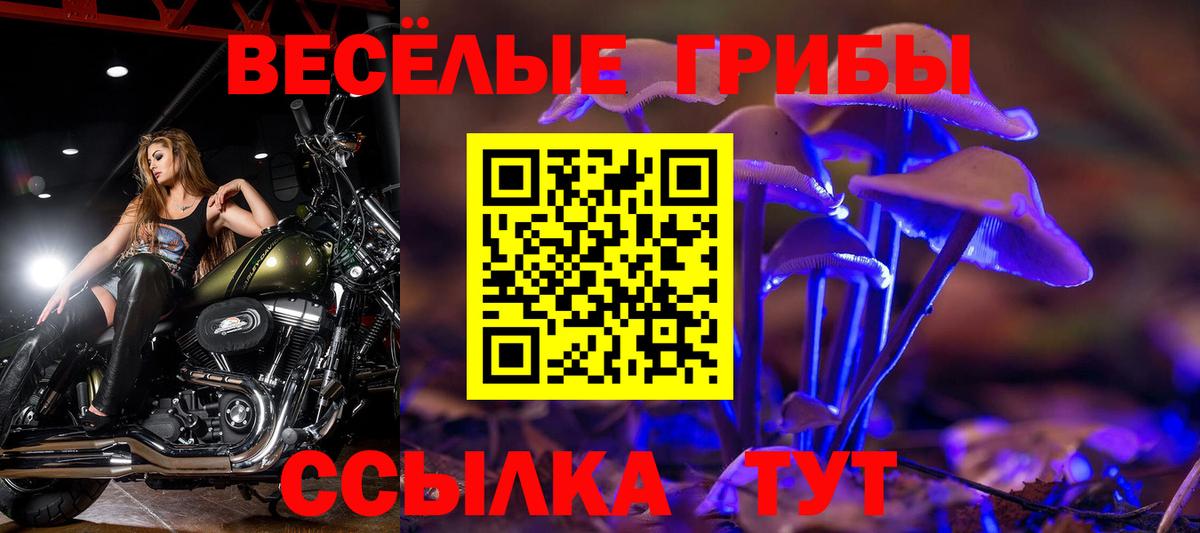 Белая Калитва  Псилоцибиновые грибы Psilocybe  Вход с VPN 